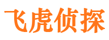 太子河侦探公司